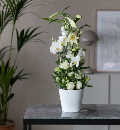 Hvit dekorasjon med liljer og orkidéer